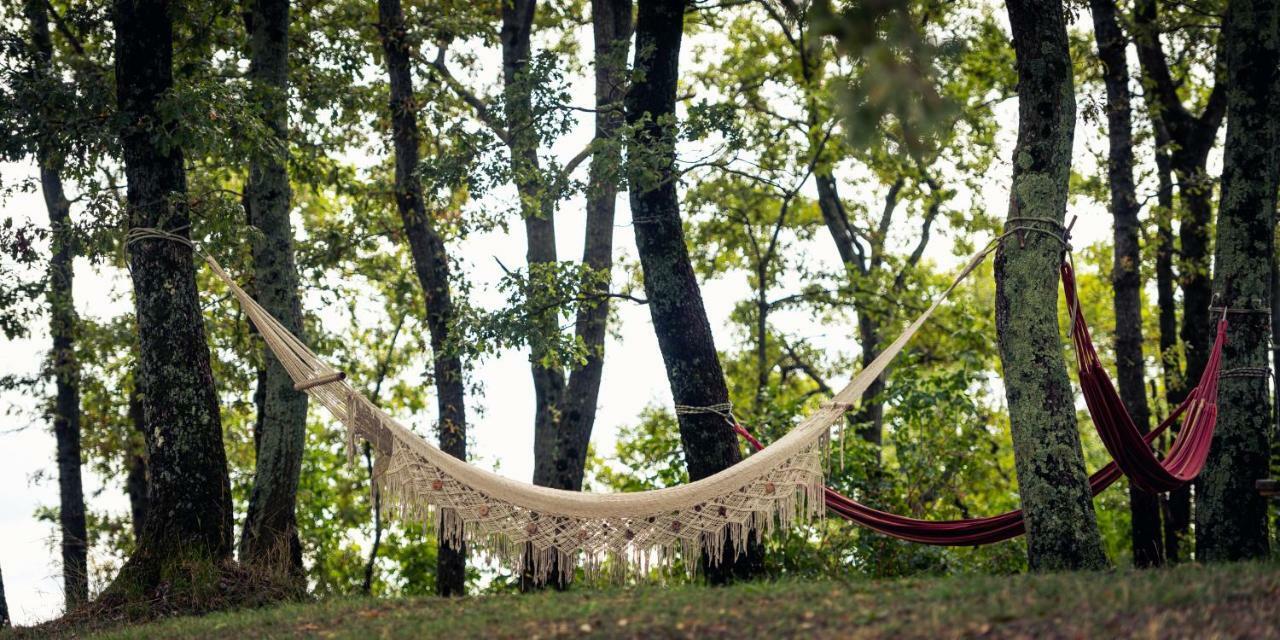 Agriturismo Il Beccafico Alpaca Mengara エクステリア 写真